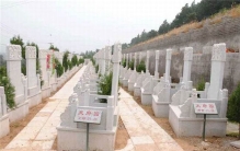 世界上最大墓地是哪个 和平谷（五百多万人长眠于此）