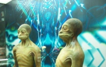 黑猩猩可能进化成高智商吗,伤齿龙能变成智慧生物吗