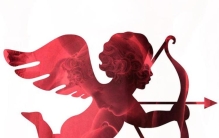 爱神星落入白羊金牛双子巨蟹狮子处女天秤天蝎射手摩羯水平双鱼