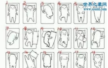 24睡姿图走红网络，不同睡姿反映不同性格