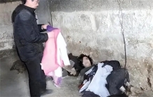 老汉买下女大学生 锁在地窖侵犯六年（贩卖人口）