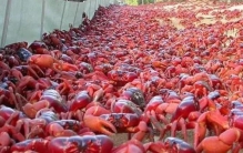 奇闻异事地球上出现的7个十分独特和有意思的事情,地球未解之谜奇闻异事