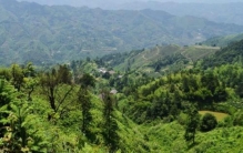 过故人庄唐孟浩然的,孟浩然的过故人庄全文