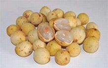 世界十大罕见水果 冷刹曾经相当尊贵一般人没资格吃