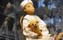 以前的事件,最近两年发生的奇闻异事