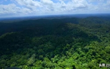 世界上还有食人族存在吗,地球上有食人族存在吗