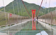 世界舌头最长狗:长达18.58厘米(经常会沾到地上灰尘)