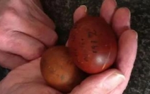 世界上最古老的茶叶蛋：茶叶蛋界的百岁老人（103岁）