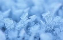 冷冻人实验后续：首批冷冻人头朝下装入液氮瓶，现在何去何从？