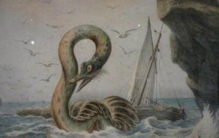 卡布罗龙已经灭绝了吗，或许没有/疑似一种未知大海龟