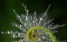 大自然的鬼斧神工令人惊叹「时而奇怪时而奇妙大自然这波鬼斧神工的造物让人惊叹」