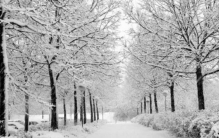 19家厂商38款Q4产品储备多个大IP压阵腾讯网易缺席