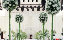 巨蜘蛛：相当恐怖的丛林猎杀者,吃人图片曝光（普通蜘蛛百倍大）