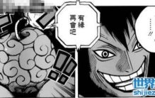 人造恶魔果实，全面分析人造与天然的区别和缺陷