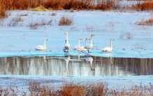 墨扬随笔以阶级斗争为纲年代里的一桩破坏大跃进案