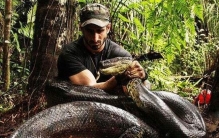 世界上最长的蛇，亚马逊绿森蚺最长12米(视频图片)