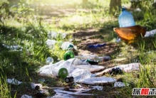 关于乱丢垃圾的危害：数百万动物死亡的罪魁祸首