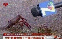 中国玩家团结起来有多可怕「团结的中国玩家有多可怕百位韩国高玩屠城2000人也没能攻下城」