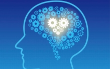 世界上现存最高的飞行鸟类：赤颈鹤，堪比姚明(最高达2米)