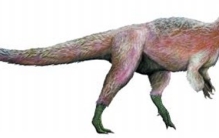 中国最强大的十大食肉恐龙,揭秘中国有哪些食肉恐龙