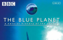纪录片《蓝色星球》：水下摄影展示海洋生态中的奇异生物