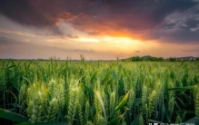 作文《我们班的新鲜事》,班级里的新鲜事作文400字