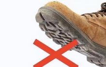 蟑螂为什么生命力顽强踩了都不死,蟑螂最怕3个克星怎么样消灭蟑螂