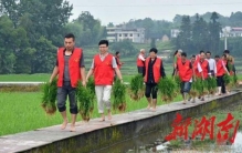 隆回田间红马甲闪亮熠党徽