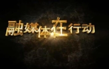 奇闻异事恩爱夫妻惊奇七同