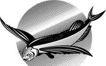 揭秘《山海经》中的奇异生物：蠃luǒ 鱼，真实的它让你惊艳！