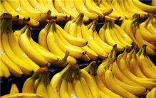 世界上最大的香蕉 巨大的香蕉令人十分恐怖相当震惊