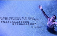 美国励志电影排行榜前十名，最经典评分最高十部电影(必看)