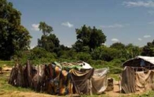 苏丹这个国家安全吗?苏丹2018年十大最新消息