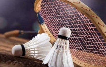 世界速度最快的球类运动:堪比F1赛车(每小时332公里)