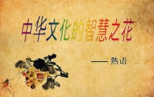 常用熟语一千条(1000个常用熟语)