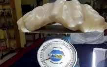 目前为止世界上最大的珍珠重达多少斤,世界上最巨型珍珠