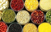 古代主要吃什么粮食：粟、黍、稻、小麦、大麦等等