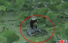 水猴子为什么要拉人下水？水鬼吃人图片曝光（科学揭秘）