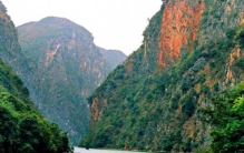 三峡中猿鸣的作用?揭三峡猿啼之谜