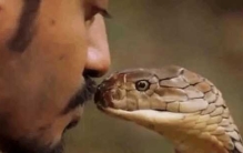 世界五种稀有动物 你见过了吗？