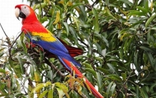 亚洲哪个国家人口最少?亚洲人口最少的前十国家排名