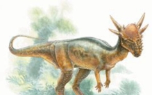 十大最聪明的恐龙,伤齿龙聪明到可以进化成人