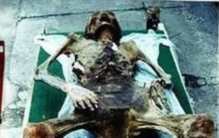 木乃伊怀孕是真的吗「特灵娜木乃伊怀孕是真是假」