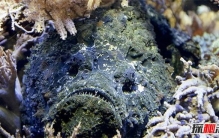 人生最痛苦的事情莫过于?世界上十大最痛苦的事情