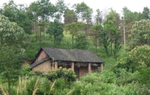 那些年发生在我们家奶奶和哥哥身上的怪事儿小说「那些年发生在我们家奶奶和哥哥身上的怪事儿」