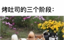 奇闻异事全集,奇闻异事