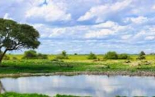 非洲纳米比亚安全吗?纳米比亚十大真实情况