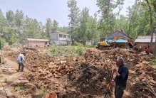 房子没人住马泡取籽炸油养狗毛不剩农村怪事知多少