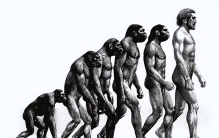 如果人类全部灭亡了，数亿年后地球上会不会再次进化出人类？