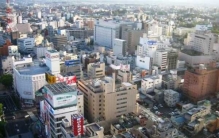 十大适合新手养的小型鱼 最好养的观赏鱼有哪些